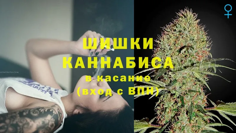 Бошки марихуана OG Kush  Катайск 